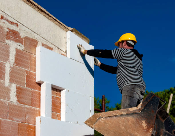 Best Insulation Maintenance and Repair in Seymour, TN