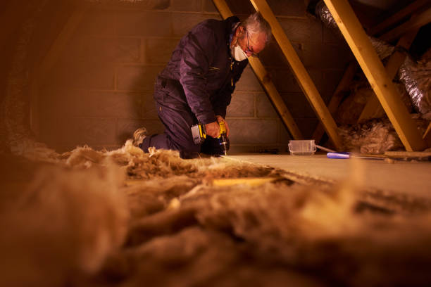 Best Commercial Insulation in Seymour, TN