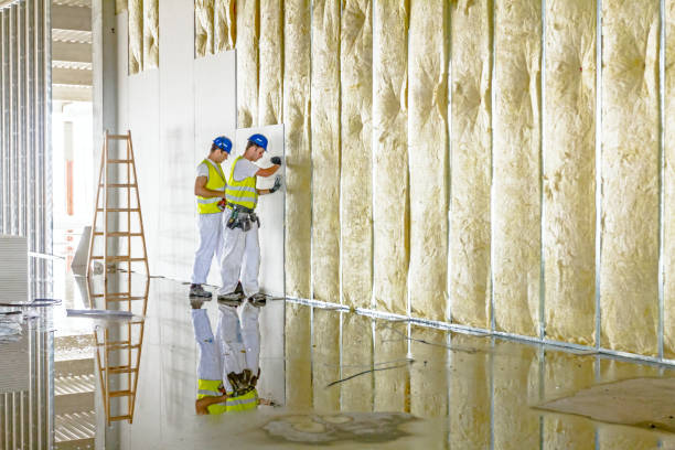 Types of Insulation We Offer in Seymour, TN
